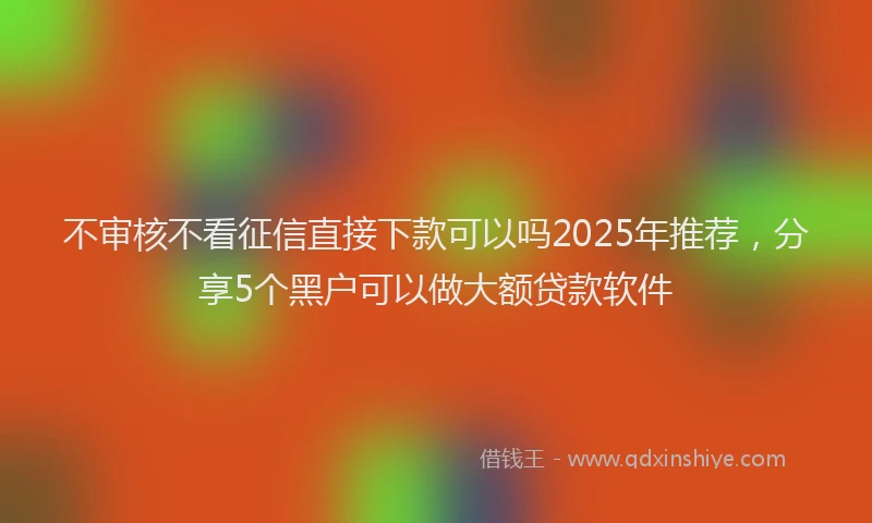 不审核不看征信直接下款可以吗2025年推荐，分享5个黑户可以做大额贷款软件