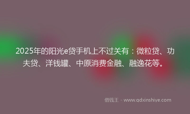 2025年的阳光e贷手机上不过关有：微粒贷、功夫贷、洋钱罐、中原消费金融、融逸花等。