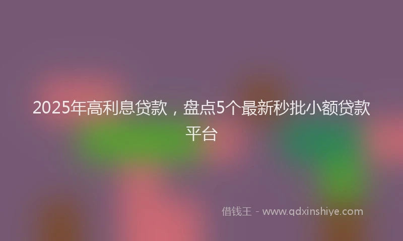 2025年高利息贷款，盘点5个最新秒批小额贷款平台