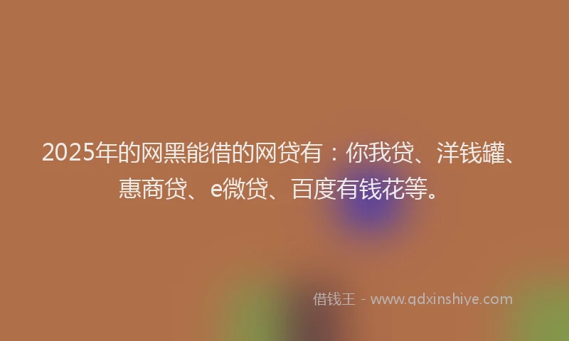 2025年的网黑能借的网贷有：你我贷、洋钱罐、惠商贷、e微贷、百度有钱花等。