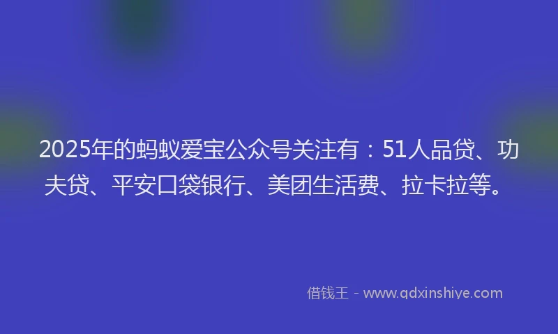 2025年的蚂蚁爱宝公众号关注有：51人品贷、功夫贷、平安口袋银行、美团生活费、拉卡拉等。