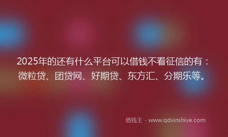 2025年的还有什么平台可以借钱不看征信的有：微粒贷、团贷网、好期贷、东方汇、分期乐等。