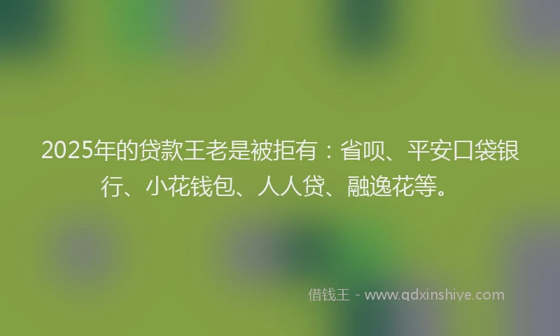 2025年的贷款王老是被拒有：省呗、平安口袋银行、小花钱包、人人贷、融逸花等。