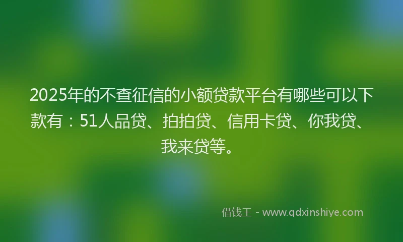 2025年的不查征信的小额贷款平台有哪些可以下款有：51人品贷、拍拍贷、信用卡贷、你我贷、我来贷等。