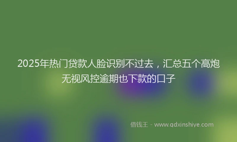 2025年热门贷款人脸识别不过去，汇总五个高炮无视风控逾期也下款的口子