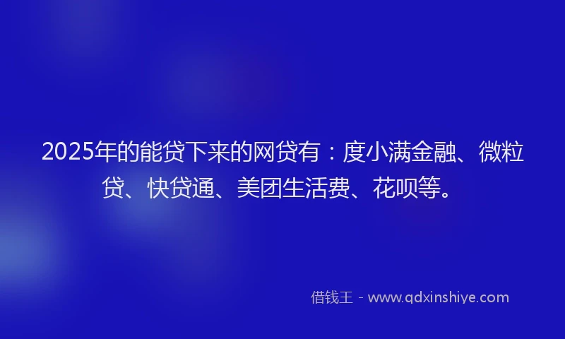 2025年的能贷下来的网贷有：度小满金融、微粒贷、快贷通、美团生活费、花呗等。