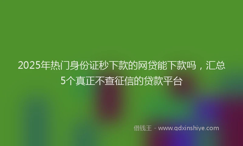 2025年热门身份证秒下款的网贷能下款吗，汇总5个真正不查征信的贷款平台