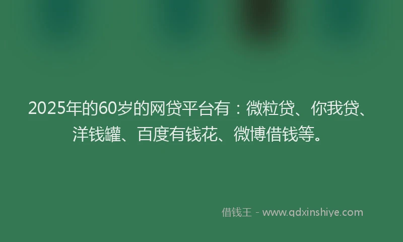 2025年的60岁的网贷平台有：微粒贷、你我贷、洋钱罐、百度有钱花、微博借钱等。