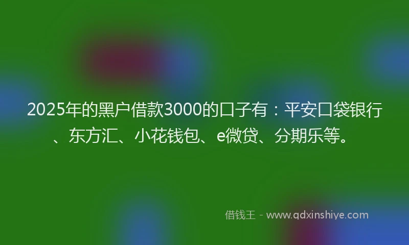 2025年的黑户借款3000的口子有：平安口袋银行、东方汇、小花钱包、e微贷、分期乐等。
