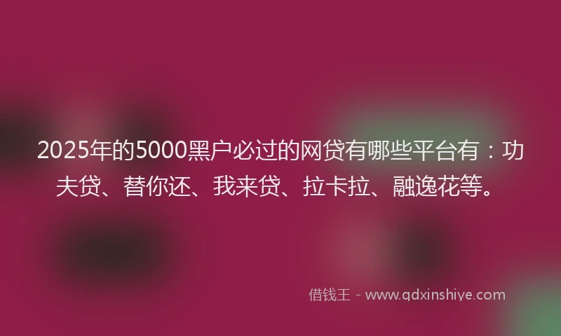 2025年的5000黑户必过的网贷有哪些平台有：功夫贷、替你还、我来贷、拉卡拉、融逸花等。