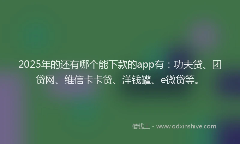 2025年的还有哪个能下款的app有：功夫贷、团贷网、维信卡卡贷、洋钱罐、e微贷等。