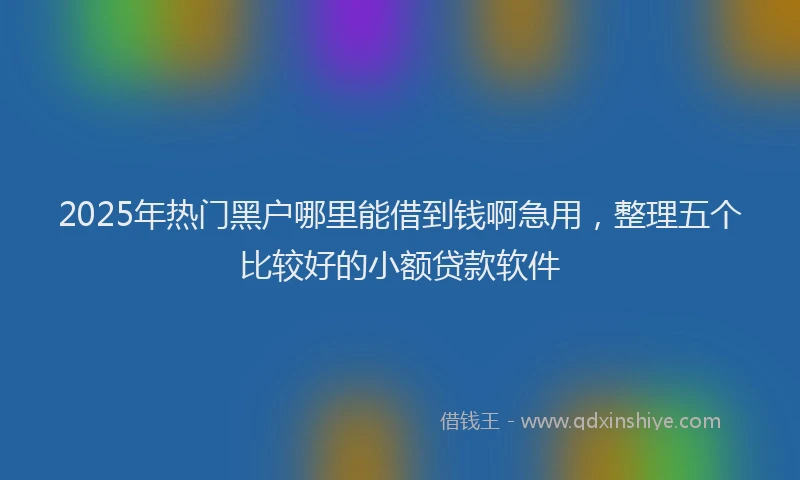 2025年热门黑户哪里能借到钱啊急用，整理五个比较好的小额贷款软件