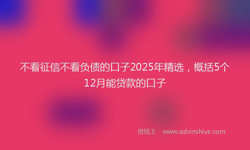 不看征信不看负债的口子2025年精选，概括5个12月能贷款的口子