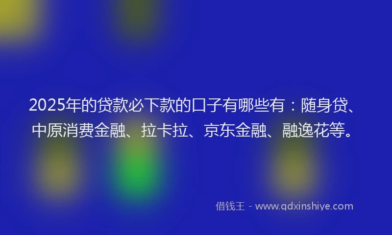 2025年的贷款必下款的口子有哪些有：随身贷、中原消费金融、拉卡拉、京东金融、融逸花等。
