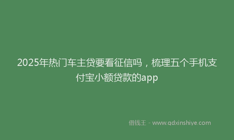 2025年热门车主贷要看征信吗，梳理五个手机支付宝小额贷款的app