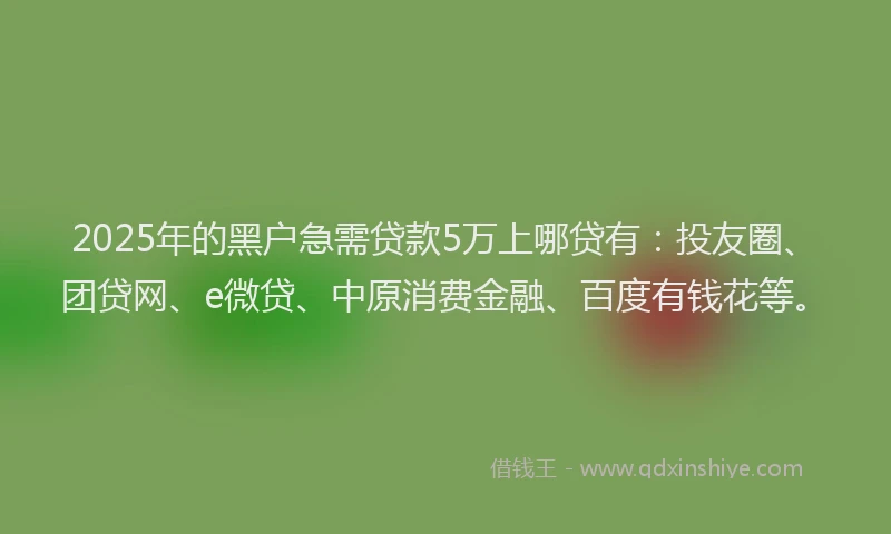 2025年的黑户急需贷款5万上哪贷有：投友圈、团贷网、e微贷、中原消费金融、百度有钱花等。