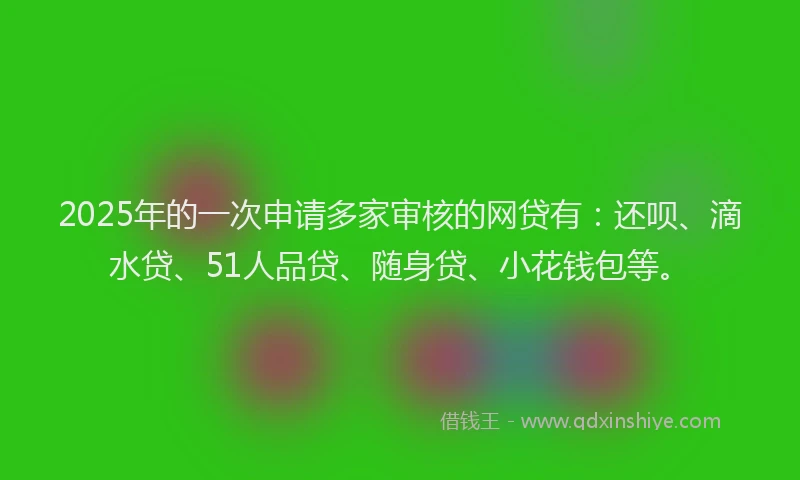 2025年的一次申请多家审核的网贷有：还呗、滴水贷、51人品贷、随身贷、小花钱包等。