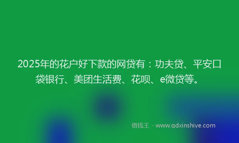 2025年的花户好下款的网贷有：功夫贷、平安口袋银行、美团生活费、花呗、e微贷等。