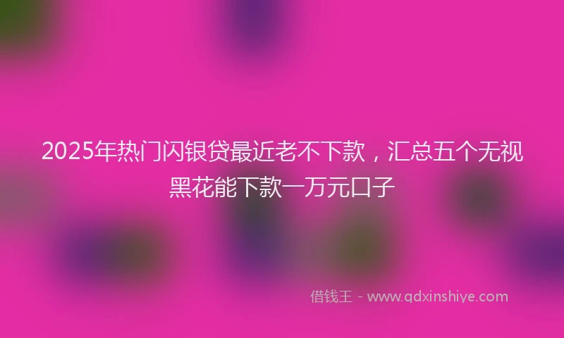 2025年热门闪银贷最近老不下款，汇总五个无视黑花能下款一万元口子