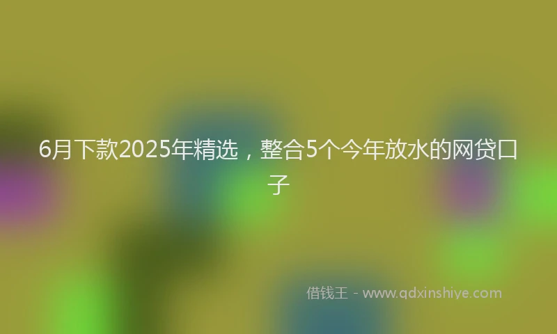 6月下款2025年精选，整合5个今年放水的网贷口子