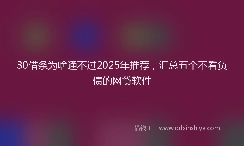 30借条为啥通不过2025年推荐，汇总五个不看负债的网贷软件