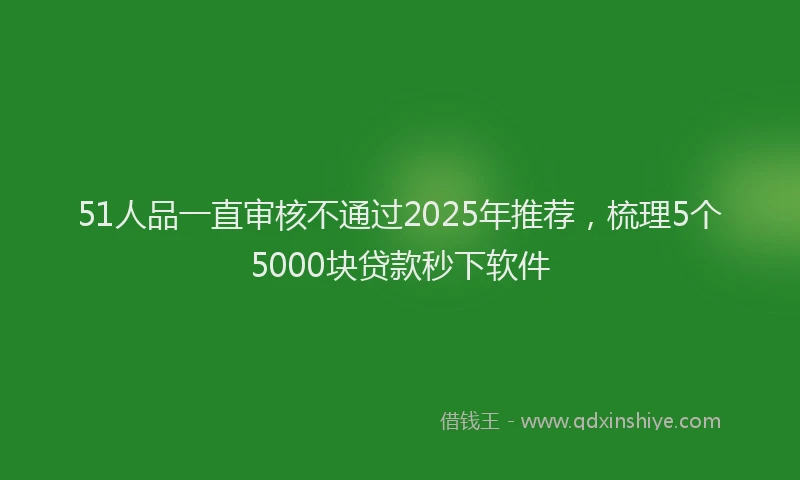 51人品一直审核不通过2025年推荐，梳理5个5000块贷款秒下软件