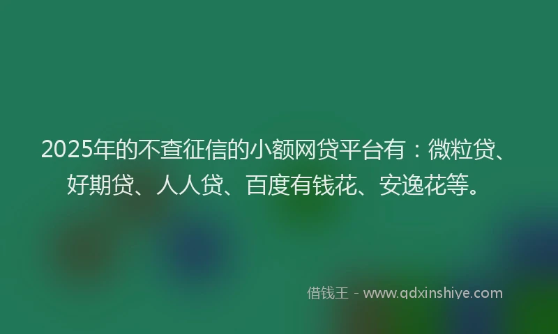 2025年的不查征信的小额网贷平台有：微粒贷、好期贷、人人贷、百度有钱花、安逸花等。