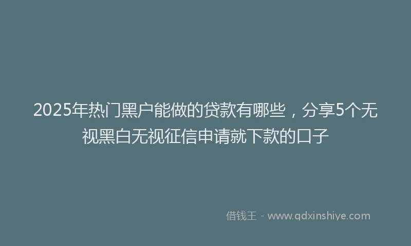 2025年热门黑户能做的贷款有哪些，分享5个无视黑白无视征信申请就下款的口子