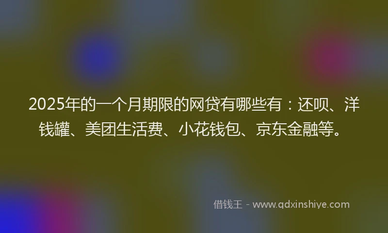 2025年的一个月期限的网贷有哪些有：还呗、洋钱罐、美团生活费、小花钱包、京东金融等。