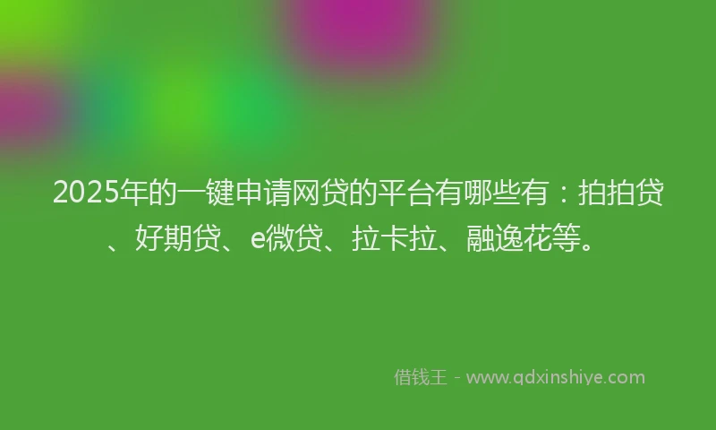 2025年的一键申请网贷的平台有哪些有：拍拍贷、好期贷、e微贷、拉卡拉、融逸花等。