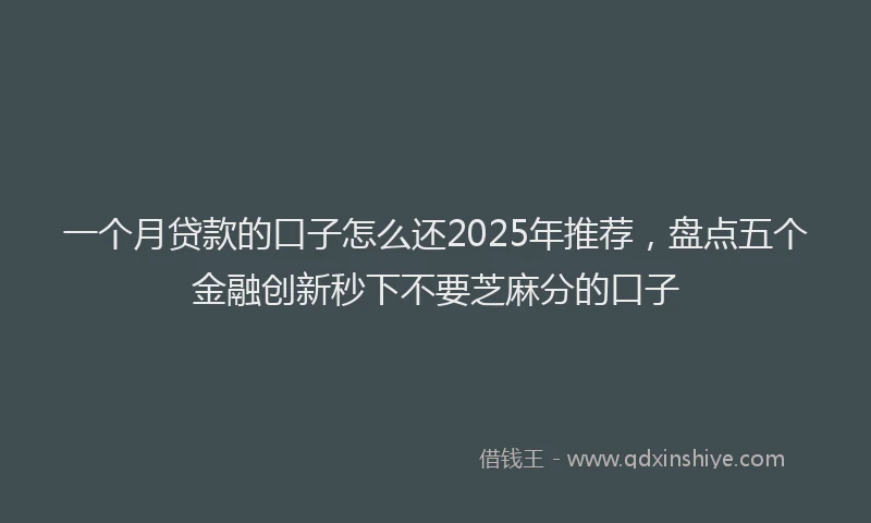 一个月贷款的口子怎么还2025年推荐，盘点五个金融创新秒下不要芝麻分的口子