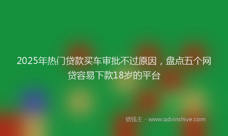 2025年热门贷款买车审批不过原因，盘点五个网贷容易下款18岁的平台