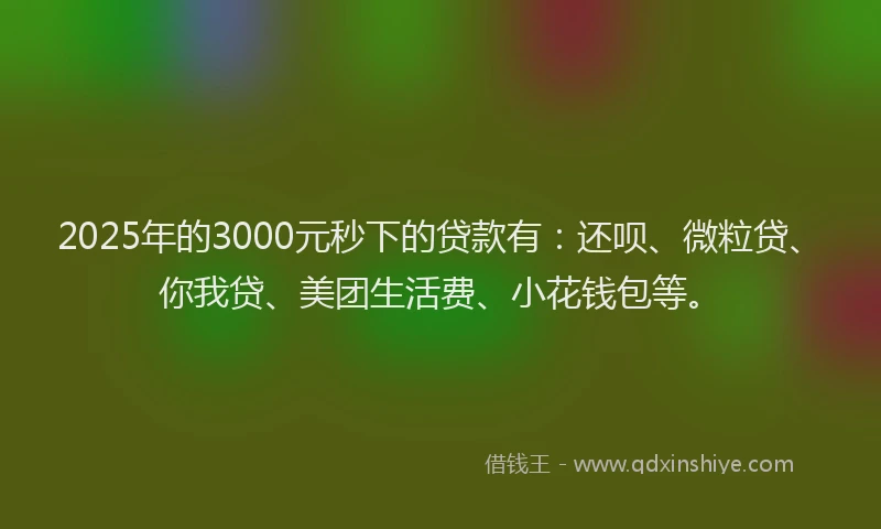2025年的3000元秒下的贷款有：还呗、微粒贷、你我贷、美团生活费、小花钱包等。