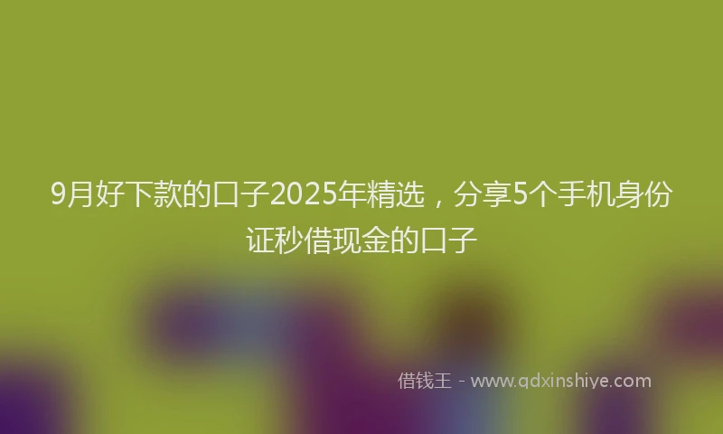 9月好下款的口子2025年精选，分享5个手机身份证秒借现金的口子