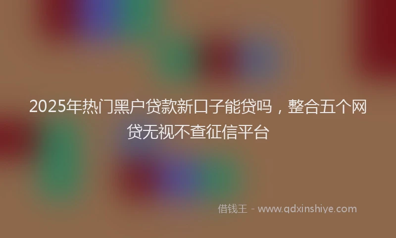 2025年热门黑户贷款新口子能贷吗，整合五个网贷无视不查征信平台