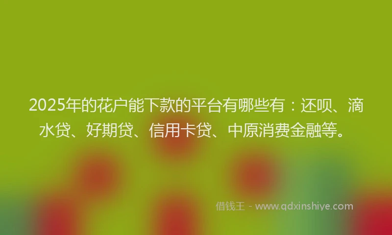 2025年的花户能下款的平台有哪些有：还呗、滴水贷、好期贷、信用卡贷、中原消费金融等。