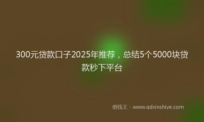 300元贷款口子2025年推荐，总结5个5000块贷款秒下平台