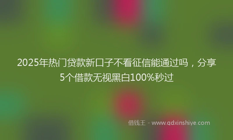 2025年热门贷款新口子不看征信能通过吗，分享5个借款无视黑白100%秒过