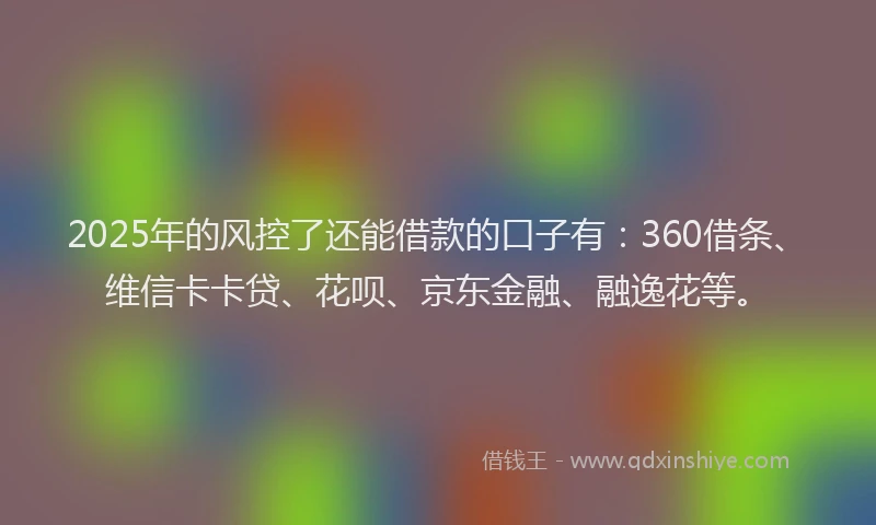 2025年的风控了还能借款的口子有：360借条、维信卡卡贷、花呗、京东金融、融逸花等。