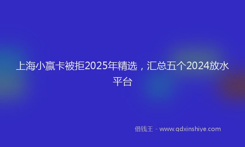 上海小赢卡被拒2025年精选，汇总五个2024放水平台