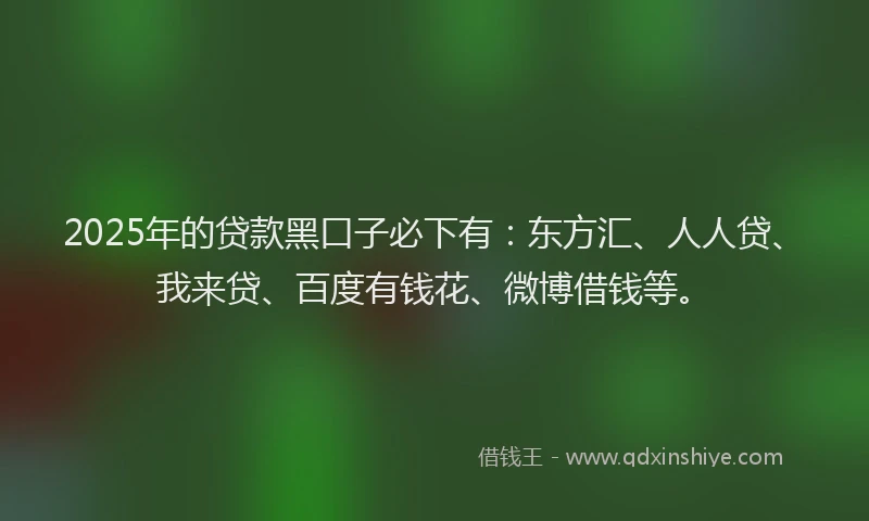 2025年的贷款黑口子必下有：东方汇、人人贷、我来贷、百度有钱花、微博借钱等。