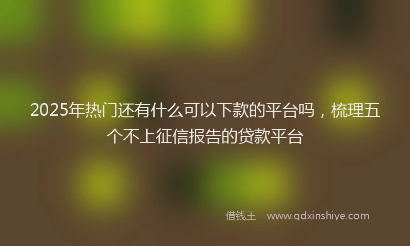 2025年热门还有什么可以下款的平台吗，梳理五个不上征信报告的贷款平台