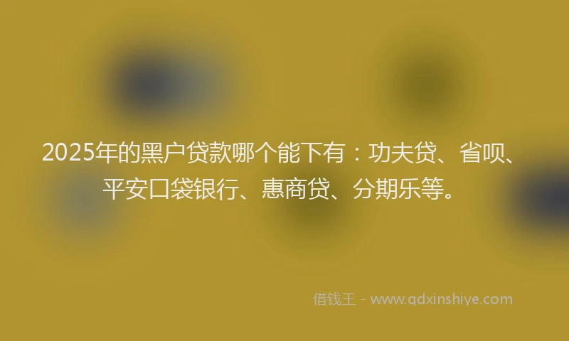 2025年的黑户贷款哪个能下有：功夫贷、省呗、平安口袋银行、惠商贷、分期乐等。