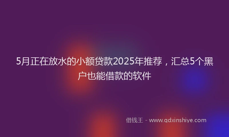 5月正在放水的小额贷款2025年推荐，汇总5个黑户也能借款的软件