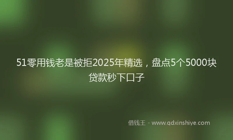 51零用钱老是被拒2025年精选，盘点5个5000块贷款秒下口子