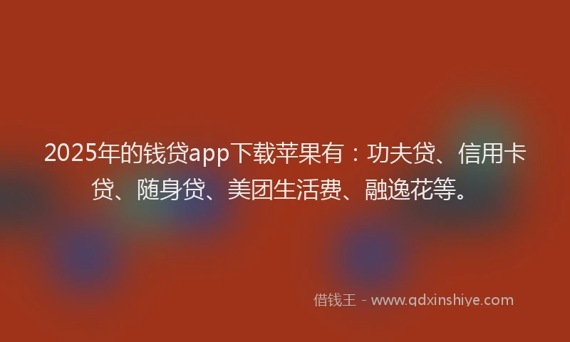 2025年的钱贷app下载苹果有：功夫贷、信用卡贷、随身贷、美团生活费、融逸花等。