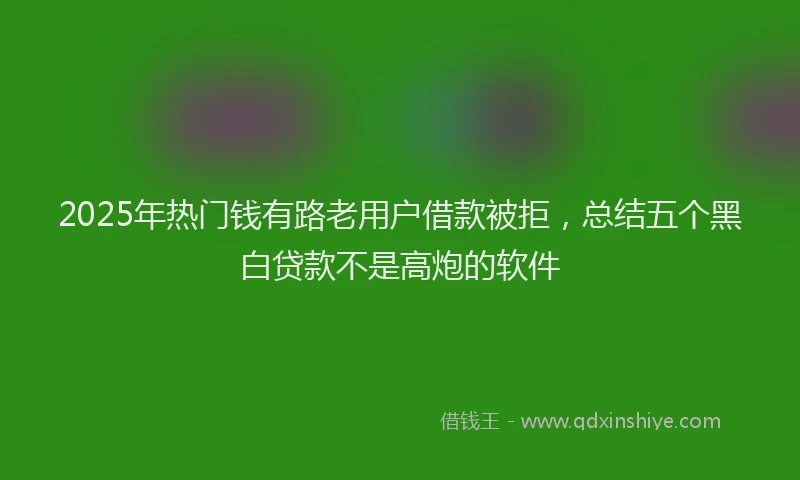 2025年热门钱有路老用户借款被拒，总结五个黑白贷款不是高炮的软件