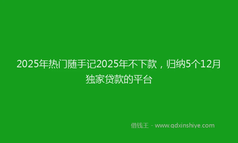 2025年热门随手记2025年不下款，归纳5个12月独家贷款的平台