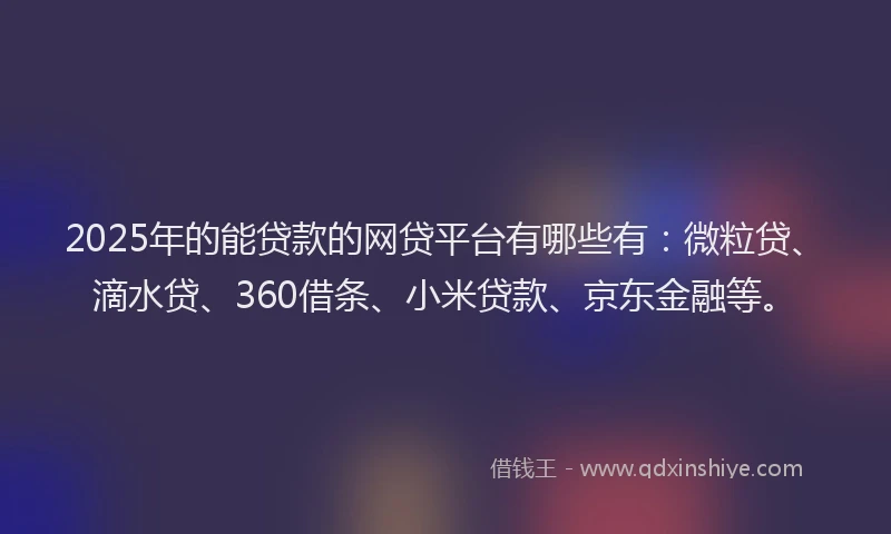 2025年的能贷款的网贷平台有哪些有：微粒贷、滴水贷、360借条、小米贷款、京东金融等。