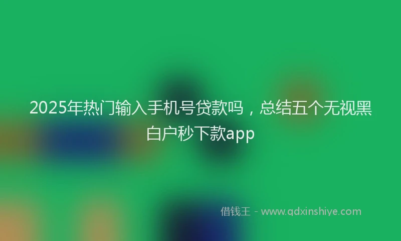 2025年热门输入手机号贷款吗，总结五个无视黑白户秒下款app
